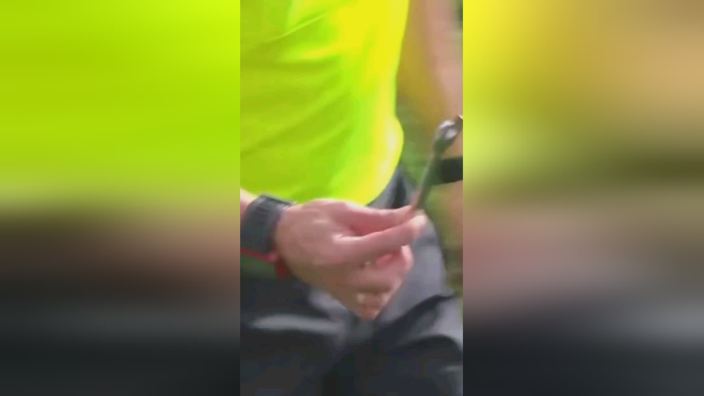 格森为